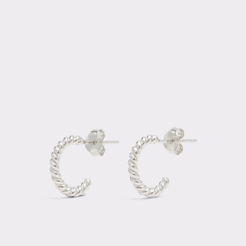 Aldo Fashion Silver Sista Chansen Adraeldar Hoop örhängen