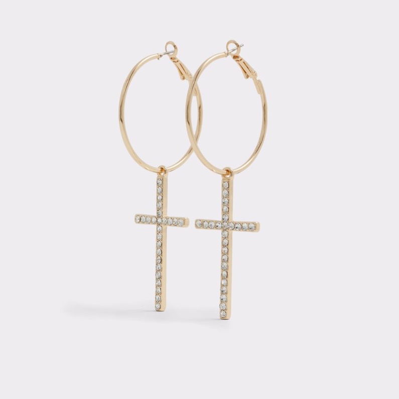 Aldo Gold-clear Multi Fashion Anedeb