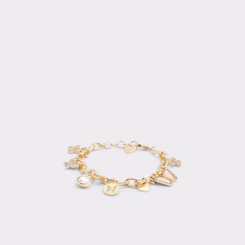 Aldo Fashion Guldklar Multi Jerynad Armband