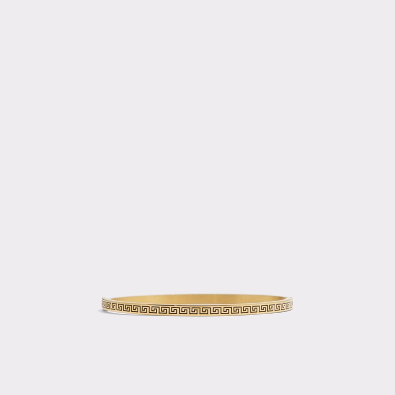 Orlon Armband Guld Aldo Mode