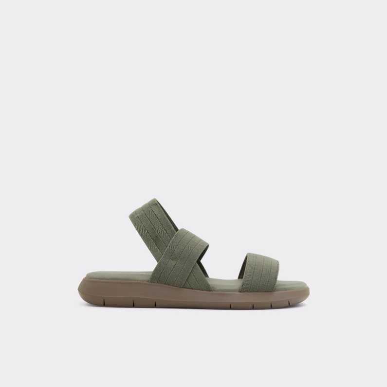 Kaki